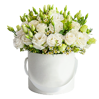 קולקציית בוטיק